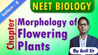 Morphology of flowering plants L8 neetbiology morphologyoffloweringplants [upl. by Onibas822]