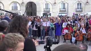 Flashmob Rameau Dijon 2014 [upl. by Nortal]