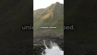 Explore the Wonders of Giants Causeway shorts funfacts northernireland stunning worldwonder [upl. by Swamy348]