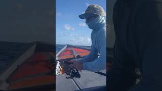 Thazard Géant au JIG  Taille Record  caraïbes fishing exo fish KingMackerel [upl. by Calan322]