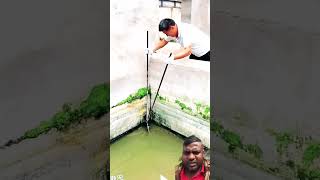 fishing crocodilian fish fishingtips [upl. by Yrrab]