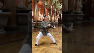 真正的内家太极 静如止水 动如雷鸣taichi taichiquan kungfu wushu martialarts taiji taijiquan 太极 太極拳 功夫 武術 [upl. by Nadiya]