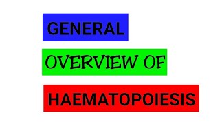 HAEMATOPOIESIS OVERVIEW [upl. by Atnim]