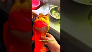 Fish slipper😨 New Viral Gadgets Smart Appliances Kitchen Utensils Home Inventions shorts [upl. by Woermer]