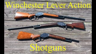 Winchester Lever Action Shotguns 1887 1901 in 12 Gauge and 10 Guage [upl. by Ettevram212]