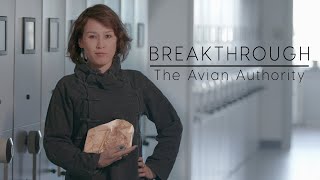 Breakthrough The Avian Authority [upl. by Ardeid]