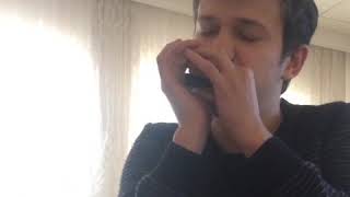 Sway Harmonica  Minör Mızıka [upl. by Eisyak]