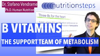 Group B Vitamins the Support Team of Metabolism [upl. by Trefor236]