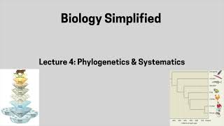 Lecture 4 Phylogenetics amp Systematics [upl. by Aikas]