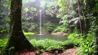 Sonido de Lluvia y los Animales del Bosque  HD Lluvia  Relajarse Dormir [upl. by Nhaj]