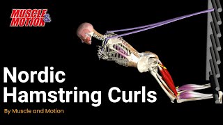 Master the Nordic Hamstring Curl for Stronger Hamstrings [upl. by Areit931]