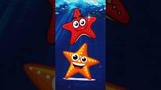 5 Awesome Invertebrates 🦋🐙🐝  Fun Facts for Kids kidslearning [upl. by Rehptosirhc]