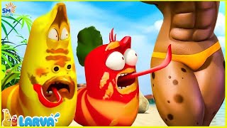 LARVA  THE BEST OF CARTOON  NEW CARTOON COMEDY 2025  CARTOON MOVIE FOR LIFE [upl. by Sharline]