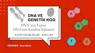 DNA Ve Genetik Kod 1  8Sınıf  Fen Bilimleri  DNA ve Eşlenmesi  LGS 2025  FENGUEN [upl. by Plante]