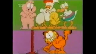 Garfield amp Friends Seasons 12 Intro  Danish [upl. by Euv988]