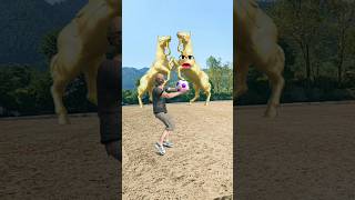 Golden Horse VS Man 🐎🐎 Funny Video shorts funny youtubeshorts [upl. by Ellswerth721]