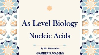 A Level Biology Nucleic Acids  Cambridge 9700  Part 1 [upl. by Lantz]