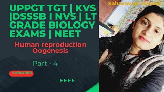 Oogenesis  Gametogenesis Human reproduction  Uppgttgtbiology  KVSpgt DSSSB NEET NVS Biology [upl. by Nisay]