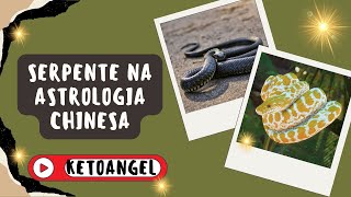 Características Gerais da Serpente na Astrologia Chinesa Um Guia [upl. by Norahs]