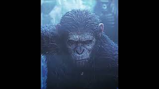 CAESAR VS KOBA EDIT  THE WEAKER  DAWN OF THE PLANET OF THE APES dawnoftheplanetoftheapes [upl. by Stover]