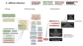 What You Need To Know About C Difficile Infection [upl. by Ayvid]