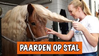 WE GAAN JE MISSEN COOKIE 😥  PaardenpraatTV [upl. by Htiekram558]