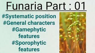 FunariaPart01General charactersGametophytic and sporophytic stage [upl. by Atima52]