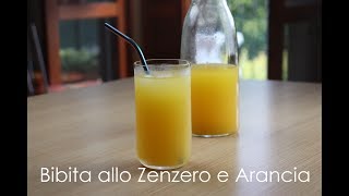 Bibita allo Zenzero Arancia e LimoneDjinibere [upl. by Curren397]