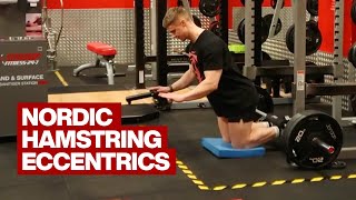 Nordic Hamstring Eccentrics [upl. by Anekam]