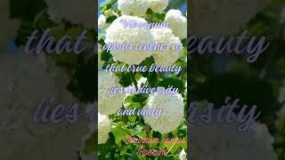 Viburnum opulus Roseumytshortsbeautyinnatureflowergardenflowergardenquotesgrowviralshorts [upl. by Ajup120]