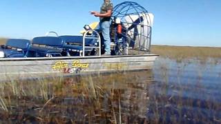 Los Everglades pantano de florida con el Paliño y el tio Wiwi [upl. by Magel]