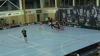 Åby IBK vs Höllviken IBF Highlights Allsvenskan Södra [upl. by Rillings]