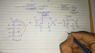 4 Sugar isomers Part3 Optical isomers [upl. by Reece685]