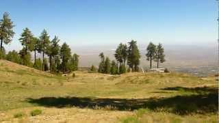 Justin Hoogerwerf crushes and parks Hole  11 at Sky High Disc Golf Course Wrightwood CA 62412 [upl. by Arodoet]