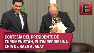 Putin se derrite por un cachorro que le regalaron [upl. by Rollo]