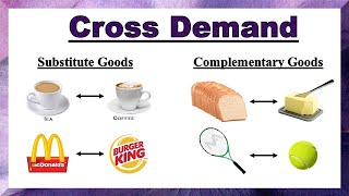 Cross Demand  Substitute Goods and Complementary Goods  Quickest amp Easiest Explanation in Hindi [upl. by Carmelina222]