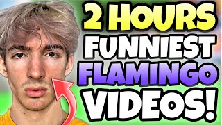 2 HOURS OF FUNNIEST FLAMINGO FANVIDEOS TO SLEEP TO [upl. by Vachill]