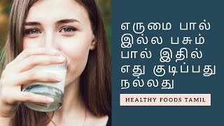 Buffalo milk or Cow milk  What is better to drink  Healthy Foods Tamil [upl. by Esil]