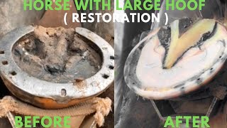 Shire Horse  Tutorial Complete Restoration  Satisfying  Asmr  Trimming Overgrown Hooves [upl. by Adnahcal770]