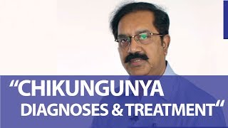 Chikungunya virus  Diagnoses and Treatment of Chikungunya virus [upl. by Dietsche]