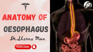 Oesophagus Anatomy Learn Easy [upl. by Carmella]