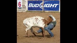 Steer Wrestling rodeo cowboy steer gets away shorts [upl. by Julide673]