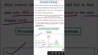 Pyramid of Energy  Ecology class 12 [upl. by Scarface]