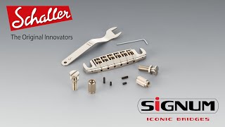 Concept and features of the Schaller Signum adjustable wraparound locking bridge [upl. by Inaflahk]