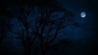 Tree Tops Blowing on a Windy Night Under The Moonlight for Sleep Insomnia Tinnitus [upl. by Kremer]