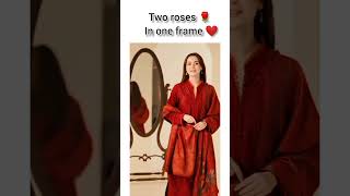 Two roses 🌹 in one frame ❤️haniaamir fanedit edit [upl. by Namar]