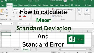 how to calculate Mean Standard Deviation And Standard Error in Excel  Step by Step Guide [upl. by Grenier]