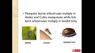 INTRODUCTION TO ARBOVIRUS [upl. by Esoj]