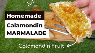 How to make homemade Calamondin Marmalade [upl. by Rexfourd]