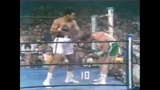 ALI VS QUARRY 2 [upl. by Langston]